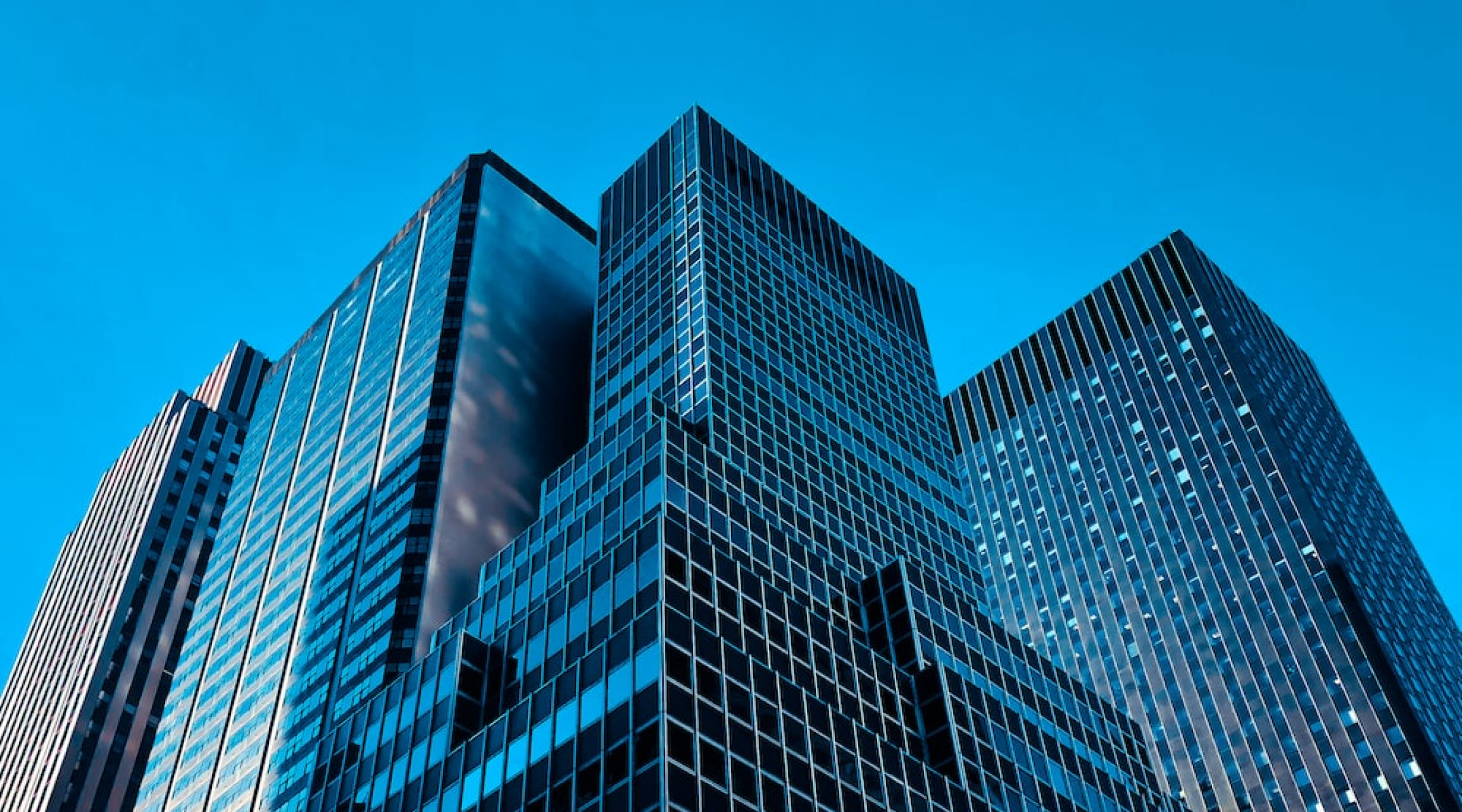 BzAnalytics's Journey from 2020 to 2023