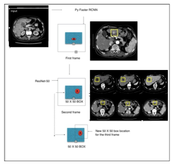 medical image analysis