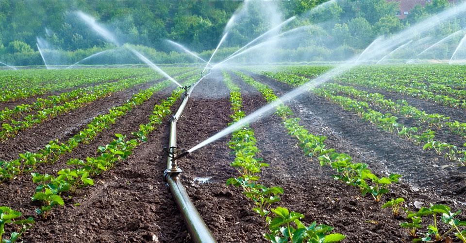 irrigation system