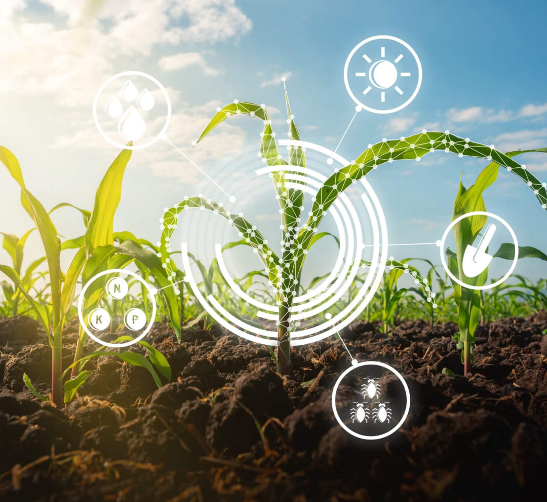 AI sustainability